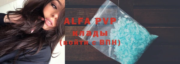 твердый Арсеньев