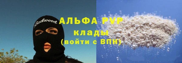твердый Арсеньев