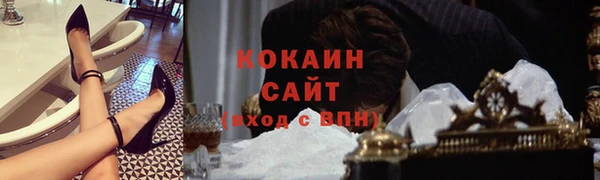 твердый Арсеньев