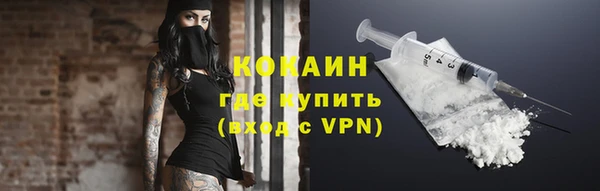твердый Арсеньев